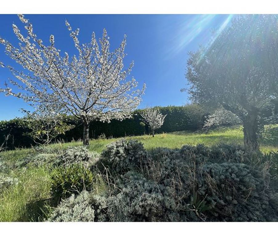 Terrain POMPERTUZAT 125000€ IMMODISPO Terrain POMPERTUZAT 125000€ IMMODISPO