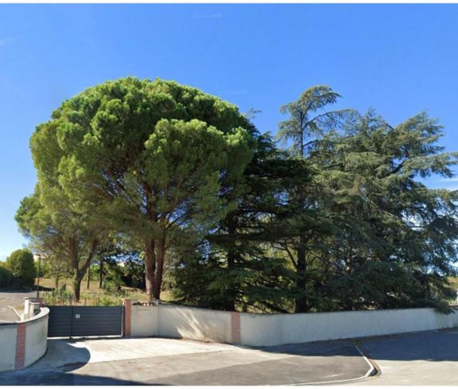 Terrain POMPERTUZAT 119000€ IMMODISPO Terrain POMPERTUZAT 119000€ IMMODISPO